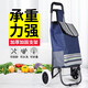 購物車(chē)買(mǎi)菜車(chē)拉桿車(chē)家用車(chē)老人便攜折疊小拉車(chē)多功能手推車(chē)布袋車(chē) 藏青條紋+跑車(chē)輪（可折疊）