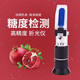 創(chuàng)紀(jì)美糖度計水果測糖儀高精度蜂蜜濃度甜度測試儀手持切削液濃度測量儀 糖度折光儀0-32