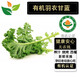 有機(jī)羽衣甘藍(lán)  新鮮采摘 有機(jī)認(rèn)證無(wú)農(nóng)殘激素 榨汁食材匯燒烤西餐 羽衣甘藍(lán) 1斤