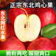 東北雞心果新鮮5斤水果正宗錦繡海棠果蘋(píng)果脆甜特產(chǎn)沙果整箱當季 60mm以下 5斤