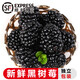 灃御園黑樹(shù)莓怡顆莓黑莓【順豐空運】覆盆子新鮮水果獨立包裝 4盒每盒約120g