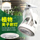 JJTOOP全光譜軌道植物專用補(bǔ)光燈室內(nèi)模擬太陽光燈魚缸綠植生長燈日光燈 【夾子B款】30W-5000K-帶插頭線