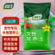 尚洋文竹專(zhuān)用植物營(yíng)養土園藝綠植養花土種菜顆粒盆栽種植復合基質(zhì)土壤 文竹專(zhuān)用營(yíng)養土15L