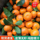 廣西桂林砂糖橘子沙糖桔當季新鮮水果無(wú)籽蜜橘鮮精選果 10斤 精選