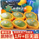 山姆大叔凱特芒果攀枝花芒果水果芒果禮盒新鮮熱帶中秋節(jié)禮品水果禮盒送禮 【特大果 甜度高】單果400-600g 凈重5斤【實惠裝-20%選擇】