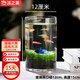 沭之美魚缸水草 大對(duì)葉種子+水草泥+12*15圓柱玻璃瓶+小噴壺 源頭直發(fā)
