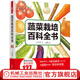 官網(wǎng) 蔬菜栽培百科全書 板木利隆 蔬菜種植溫室大棚蔬菜病蟲害圖譜與防治書栽培知識(shí)指南現(xiàn)代無公害蔬菜種植管理關(guān)鍵技術(shù)書