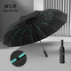 RAINLITE全自動(dòng)雨傘成人便攜大號(hào)加固抗風(fēng)傘折疊傘商務(wù)防曬晴雨兩用太陽(yáng)傘 96骨加大加固晴雨兩用----耀石黑