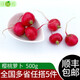 綠食者新鮮櫻桃蘿卜500g 迷你小圓蘿卜水果蘿卜 生吃蔬菜沙拉食材