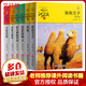 動(dòng)物小說大王沈石溪品藏書系全套6冊(cè) 駱駝王子鳥奴再被狐貍騙一次導(dǎo)盲犬迪克和烏鴉做鄰居白象家族