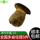 綠食者 新鮮黑牛肝菌500g 食用菌云南特產(chǎn)牛肝菌菇炒菜煲湯火鍋食材
