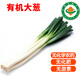 【順豐】有機(jī)大蔥 鮮蔥健康無農(nóng)殘有機(jī)蔬菜 3斤