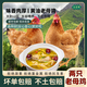 百食軒正宗黃油新鮮煲湯滋補老母雞草雞2只4.5-5斤左右現殺 黃油老母雞2只[凈重4.5-5斤]