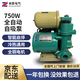 卓路LOKING家用全自動(dòng)冷熱水增壓泵自吸泵750W抽水泵 750W全自動(dòng)自吸泵