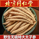 北京同仁堂品質(zhì)野外生太子參500g中藥材特級孩兒參煲湯泡水 精選無硫太子參500克