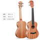 安德魯（ANDREW）兒童尤克里里小吉他初學(xué)者女男ukulele 26英寸經(jīng)典+全套配件