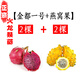 火龍果苗盆栽紅心火龍果樹(shù)果苗燕窩特大黃火龍果苗麒麟當年結果 2棵金都一號+2棵燕窩果 30cm(含)-40cm(不含)