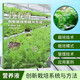 營(yíng)養液創(chuàng  )新栽培系統與方法 無(wú)土栽培營(yíng)養液配方案例 營(yíng)養液栽培模式裝置管理技術(shù) 創(chuàng  )新農業(yè)技術(shù)推廣參考書(shū)籍 農業(yè)基礎科學(xué)農技學(xué)書(shū) 中國農業(yè)科學(xué)技術(shù)出版社