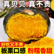 貝貝南瓜新鮮板栗味老南瓜正宗甜粉糯嬰兒惠和小南瓜水果蔬菜 9斤 中果【150-300g】