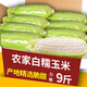 新鮮白糯玉米農(nóng)家自種牛奶甜糯玉米早餐代餐苞谷嫩玉米棒子蔬菜 5斤