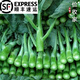 鹿凌青農(nóng)家新鮮中花芥蘭菜應季蔬菜廣東芥蘭芥藍好吃下飯菜發(fā)順豐 【順豐】泡沫箱加冰袋（偏細） 【精選中小蘭】2斤裝