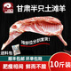 公羊半只羊羊羔肉羊肉新鮮灘羊肉整只羊排中秋送禮盒 【土灘羊半只切塊】10斤順豐