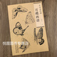 可單選】全33冊中國畫(huà)線(xiàn)描牡丹蔬果畫(huà)譜百荷花蝶鷹鶴禽樹(shù)石獸虎雞貓將龍明國仕女武俠人物敦煌壁畫(huà)紅樓夢(mèng)三國演義隋唐演義人物百圖 百蝶畫(huà)譜