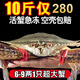 梭子蟹鮮活大海鮮7斤帶箱JD物流螃蟹冷凍超大海蟹連云港水產(chǎn)飛蟹