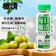 橄清云南特產(chǎn)每日橄清滇橄欖余甘子玉油柑果汁飲料每瓶245ml 濃郁型-每日橄清245ml*15瓶