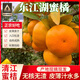 鮮級佳東江湖蜜橘桔子【JD送貨上門(mén)】清江蜜桔水果皮薄無(wú)籽酸甜中秋禮箱 5斤 單果150g甄選蜜橘  JD送貨上門(mén) 30年老樹(shù)禮箱裝