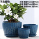仟尚藝陶瓷創(chuàng  )意帶托盤(pán)個(gè)性簡(jiǎn)約家用桌面綠蘿吊蘭肉肉植物綠植花盆多肉盆 藍色金典-小套三 大