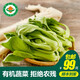 小湯山 有機油菜 約250g 有機蔬菜當天采摘北京農場(chǎng)順豐到家