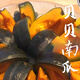 蒔籬 貝貝南瓜新鮮 板栗味香甜粉糯 農(nóng)家自種老人小孩愛吃蔬菜小南瓜 貝貝瓜凈重 4.5斤 單瓜【300g起】