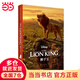 獅子王 The Lion King 迪士尼大電影雙語閱讀.電影同名英漢雙語（贈(zèng)英文音頻、電子書及核心詞講解）
