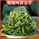 半山農(nóng) 黃金草腎精茶100g 正宗云南化石草腎精草貓爪草 男性滋補(bǔ)養(yǎng)生茶