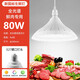 振牛新國標(biāo)生鮮照明燈led燈2024新款白光水果熟食鮮肉專用燈鹵菜鹵肉 鮮肉90%客戶的選擇新國標(biāo) 高顯色80W