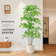 未歐南天竹仿真綠植盆栽高端輕奢室內(nèi)客廳裝飾擺件大型造景落地假花樹 180cm 4桿南天竹+米色花pp盆