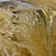 正品魚翅/假一賠十/加熱即食大排翅金鉤翅 魚翅羹 翅針魚膠珍品 魚翅中針 500克-酒店宴請(qǐng)