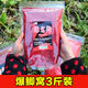 柏羽專(zhuān)攻鯽魚(yú)野釣打窩料魚(yú)餌料釣魚(yú)底窩發(fā)酵玉米酒糟麥粒草魚(yú)鳊魚(yú)青魚(yú)通用五谷雜糧黑坑配方 爆窩鯽魚(yú)3斤(已加聚窩小藥)