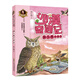 沙漠奇遇記:貓頭鷹開(kāi)宴會(huì )