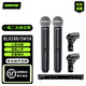 舒爾（SHURE）BLX24/288 sm58/beta58a/pg58麥克風(fēng)無線一拖二話筒主播同款麥克 BLX288/SM58【一拖二】