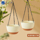 九千谷吊盆2個(gè)裝 花盆自動(dòng)吸水盆客廳陽(yáng)臺(tái)盆栽花卉鏈條吊蘭花盆9035