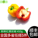 綠食者 紅黃彩椒450g 新鮮蔬菜燈籠椒方椒沙拉食材圓椒