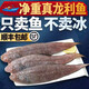 沈志雄東山島澳角村海鮮新鮮舌頭魚正龍利魚踏板魚鮮活 凈含量450g-500g 3條共三斤