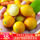 潮汐海靈廣西融安脆皮金桔脆蜜金柑精選大果 金桔2斤裝