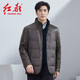 紅都冬季新品男裝中年羽絨服商務(wù)休閑立領(lǐng)保暖男士羽絨服外套 咖啡色LA9501-2 XL 180/96A