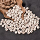 彩荷星月菩提子正月A++海南高密順白原籽菩提根散珠子素珠單顆 6*8桶(新籽原色)/2顆