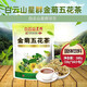 白云山星群金銀花草茶魚腥草胖大海羅漢果廣東涼茶員工發(fā)福利飲料顆粒沖劑 金菊花茶1包(16袋)