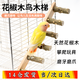 智宙 花椒木鸚鵡玩具玄風(fēng)鳥(niǎo)梯子小太陽(yáng)攀爬爬梯鳥(niǎo)籠用品云梯站桿小鳥(niǎo) 花椒木鸚鵡梯子【35CM*9CM】