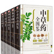 本草綱目+千金方+農(nóng)本草經(jīng)+湯頭歌訣+中草藥全圖鑒